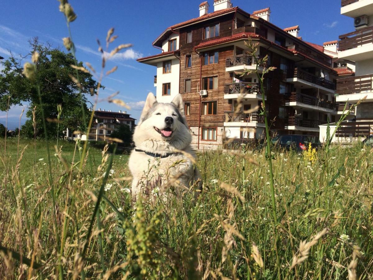 Apartments Four Leaf Clover Bansko To Rent Dış mekan fotoğraf