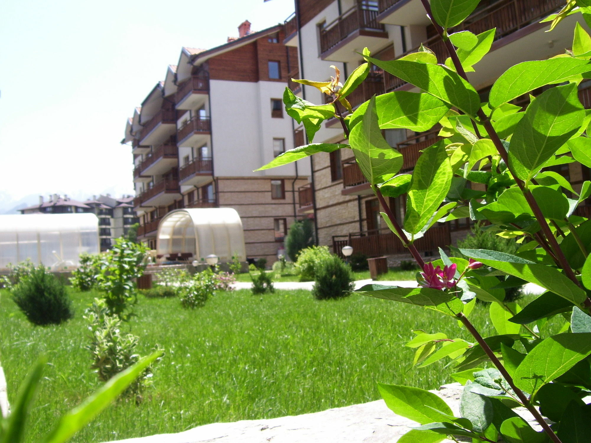Apartments Four Leaf Clover Bansko To Rent Dış mekan fotoğraf